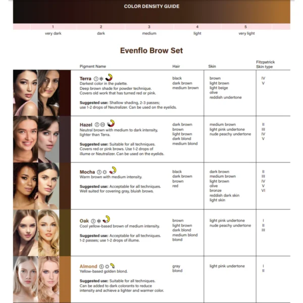 Evenflo Brow Set Colour Chart